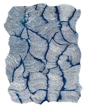Mohebban Oceano Blue