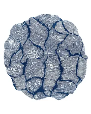 Mohebban Oceano Blue