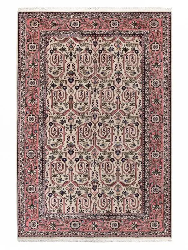 Mohebban Persian Ardebil