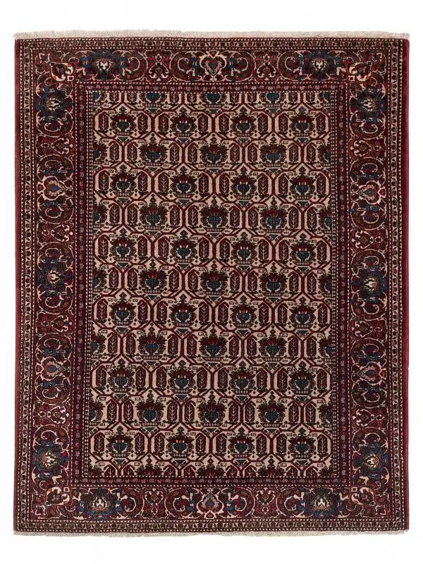 Mohebban Persian Isfahan