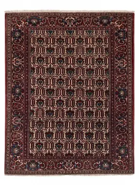 Mohebban Persian Isfahan